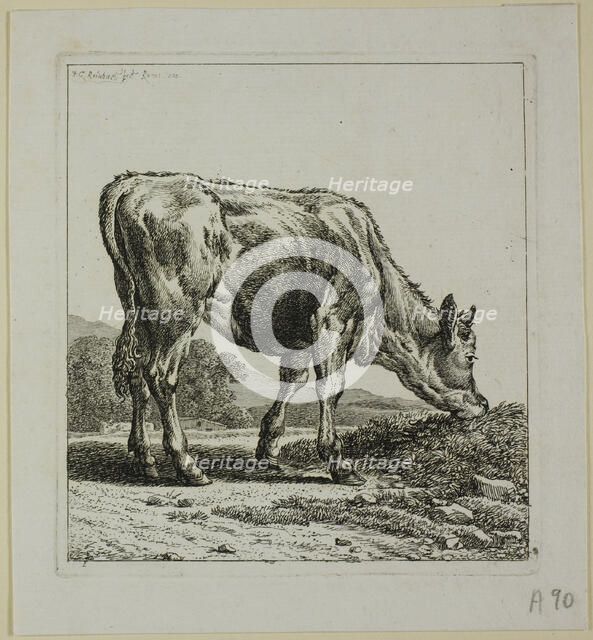 Calf Feeding, from Die Zweite Thierfolge, 1800. Creator: Johann Christian Reinhart.
