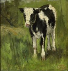 Calf, spotted black and white, c.1873-c.1903. Creator: George Poggenbeek