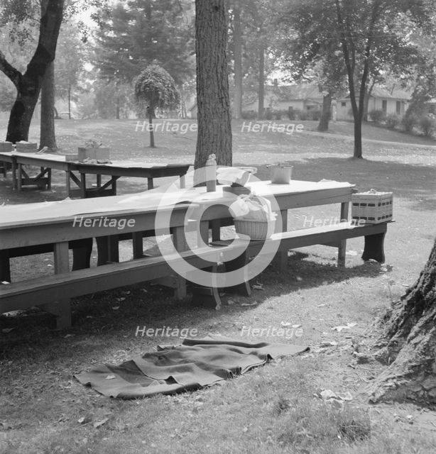 "California Day," a picnic in town park on the Rogue River, Grants Pass, Oregon, 1939. Creator: Dorothea Lange.