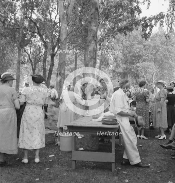 "California Day," a picnic in town park on the Rogue River, Grants Pass, Oregon, 1939. Creator: Dorothea Lange.