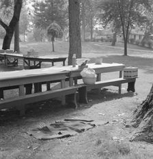 "California Day," a picnic in town park on the Rogue River, Grants Pass, Oregon, 1939. Creator: Dorothea Lange