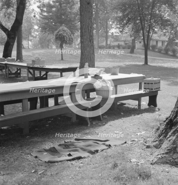 "California Day," a picnic in town park on the Rogue River, Grants Pass, Oregon, 1939. Creator: Dorothea Lange.
