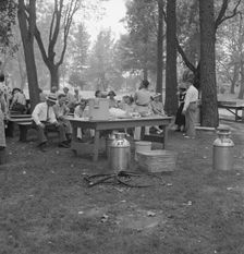 "California Day," a picnic in town park on the Rogue River, Grants Pass, Oregon, 1939. Creator: Dorothea Lange