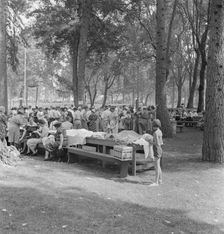 "California Day," a picnic in town park on the Rogue River, Grants Pass, Oregon, 1939. Creator: Dorothea Lange