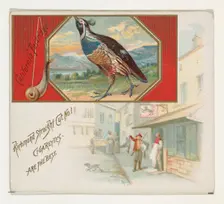 California Partridge, from the Game Birds series (N40) for Allen & Ginter Cigarettes, 1888-90. Creator: Allen & Ginter