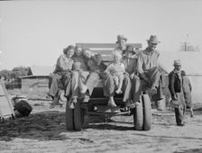 California pea pickers returning to camp..., near Santa Clara, California, 1937. Creator: Dorothea Lange