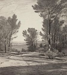 California Pines, 1919. Creator: Bolton Coit Brown