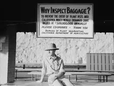 California state quarantine inspection station at Yuma, Arizona, 1937. Creator: Dorothea Lange
