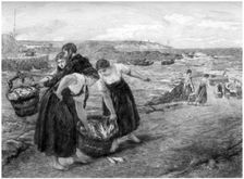 Caller Herrin c1880-1882.Artist: Otto Theodor Leyde
