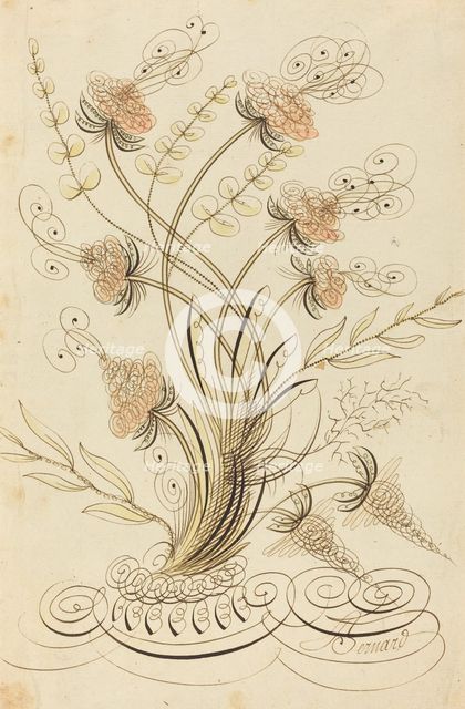 Calligraphic Flowers. Creator: Jean-Joseph Bernard.