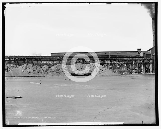Calumet and Hecla stamp mills, Lake Linden, Mich., c1906. Creator: Unknown.