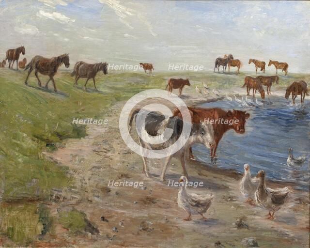 Calves and Geese at a Wateringhole on the Island of Saltholm, 1911. Creator: Theodor Esbern Philipsen.