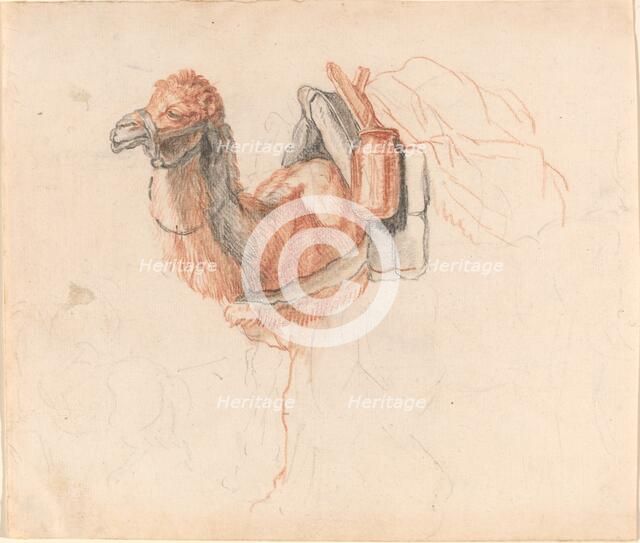 Camel, 1770s. Creator: Johann Rudolf Schellenburg.