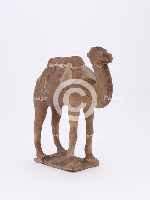 Camel, 385-535. Creator: Unknown.