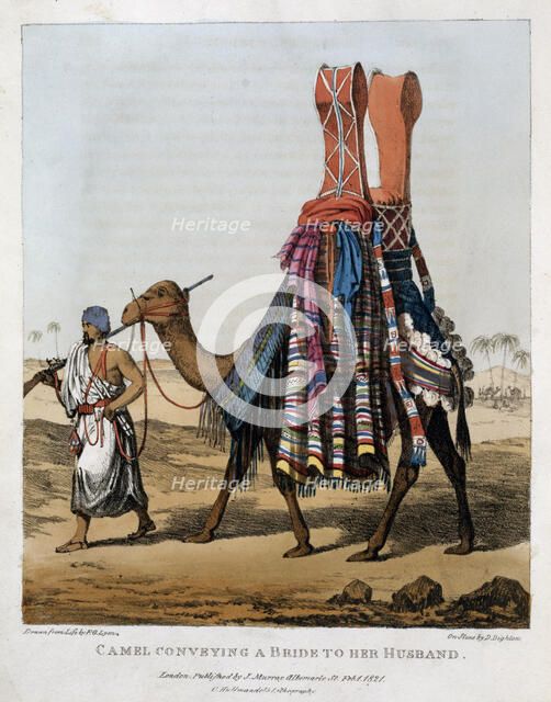 'Camel Conveying a Bride to her Husband', 1821. Artist: Denis Dighton