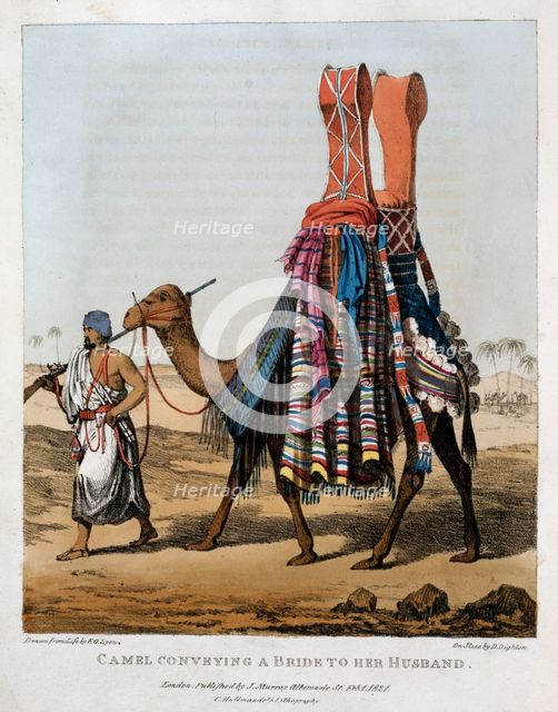 'Camel Conveying a Bride to her Husband', 1821. Creator: Denis Dighton.