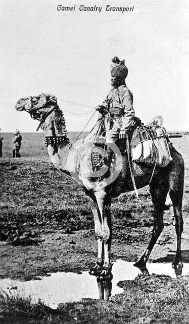 Camel cavalry transport, India, 20th century. Artist: Unknown