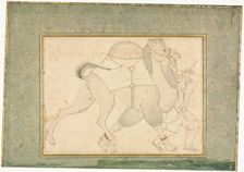 Camel and Groom; Single Page Illustration, c. 1545-1576. Creator: Shaykh Muhammad (Iranian), style of