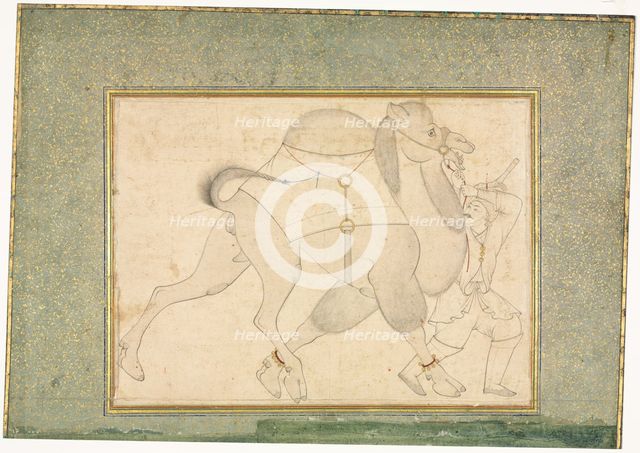 Camel and Groom; Single Page Illustration, c. 1545-1576. Creator: Shaykh Muhammad (Iranian), style of.