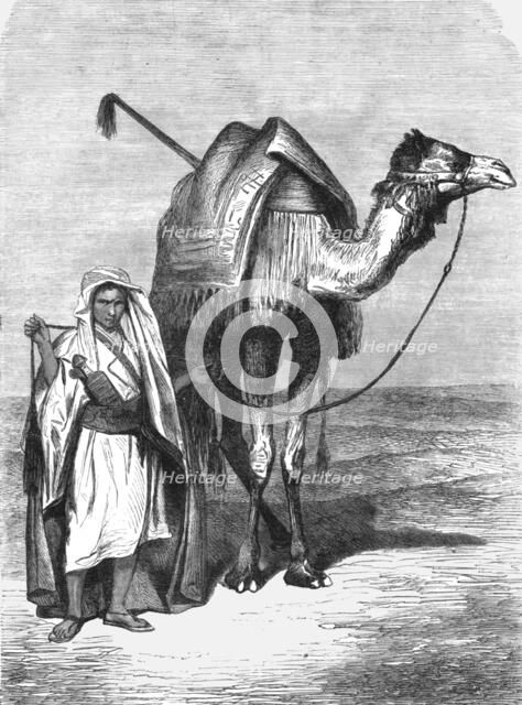'Camel Driver; The Red Sea', 1875. Creator: Unknown.