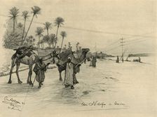 Camel-drivers on the banks of the Nile at Aswan, Egypt, 1898. Creator: Christian Wilhelm Allers
