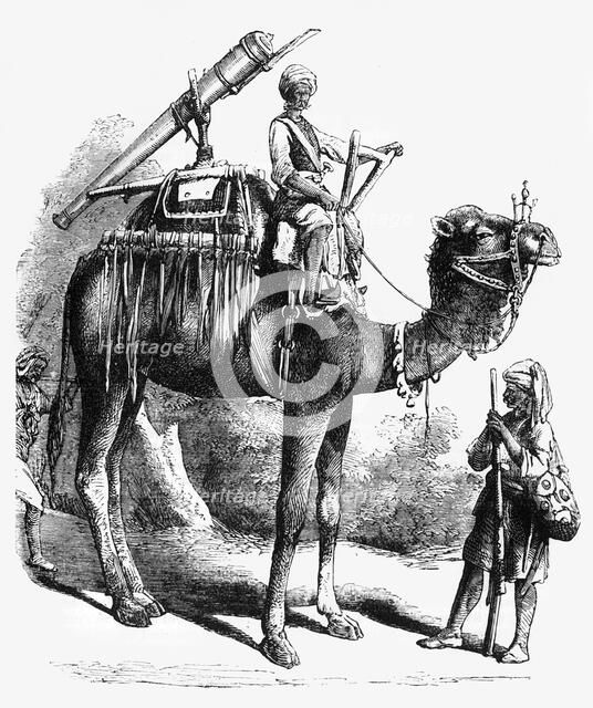 'Camel Jingall', c1891. Creator: James Grant.