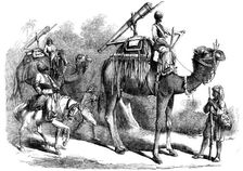 Camel Jingalls, 1858. Creator: Unknown