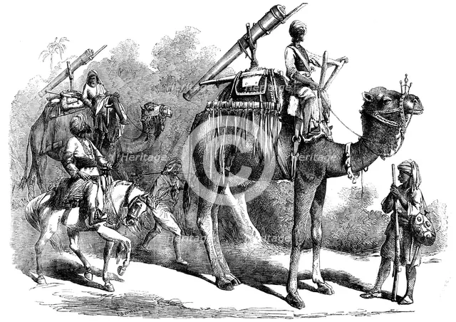 Camel Jingalls, 1858. Creator: Unknown.