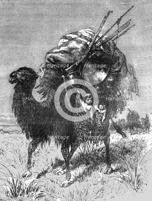 'Camel of a Tartar Emigrant; The newly-conquered Russian Province of Dzungaria', 1875. Creator: Armin Vambery.