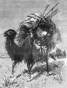Camel of a Tartar Emigrant; The newly-conquered Russian Province of Dzungaria 1875. Creator: Armin Vambery