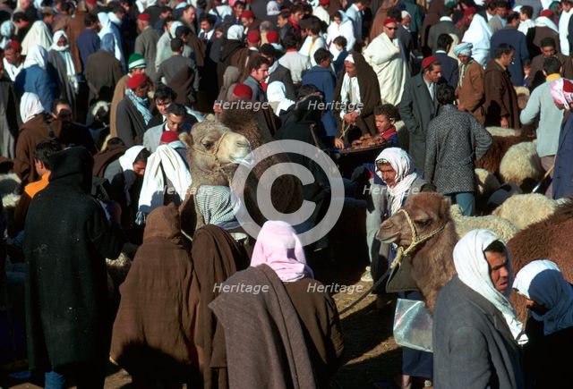 Camel market in Sousse, Tunisia. Artist: Unknown