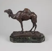 Camel, mid 19th century. Creator: Antoine-Louis Barye