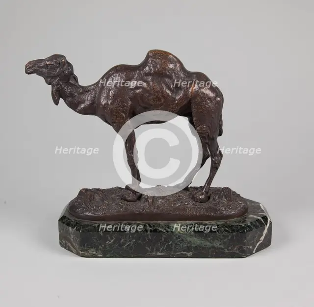 Camel,  mid 19th century. Creator: Antoine-Louis Barye.
