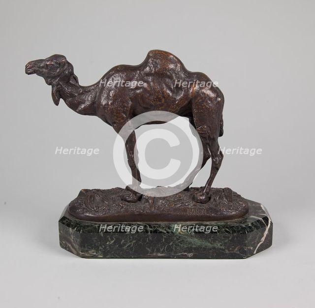 Camel,  mid 19th century. Creator: Antoine-Louis Barye.