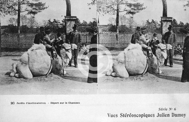 Camel ride, zoological gardens, c1900. Artist: Julien Damoy