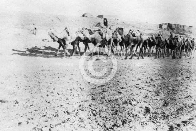 Camel train, Mosul, Mesopotamia, 1918. Artist: Unknown