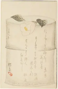 Camellia, 1870. Creator: Shokyo