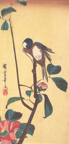 Camellia and Blue-Headed Bird, ca. 1833., ca. 1833. Creator: Ando Hiroshige