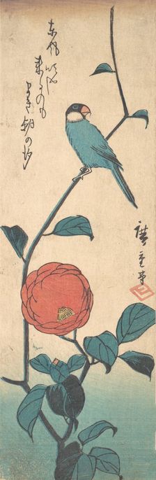 Camellia and Finch, ca. 1840., ca. 1840. Creator: Ando Hiroshige