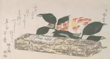 Camellia Flower and Yokan (a sort of bean jelly) Wrapped in Bamboo Skin, 1811., 1811. Creator: Shinsai