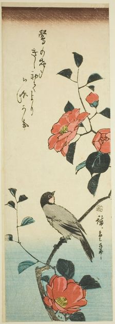 Camellia flowers and bullfinch, c. 1843/47. Creator: Ando Hiroshige