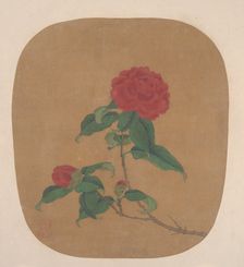 Camellia Flowers. Creator: Unknown
