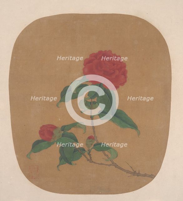 Camellia Flowers. Creator: Unknown.
