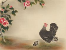 Camellias and chicks. Creator: Omoda, Seiju (1891-1933)