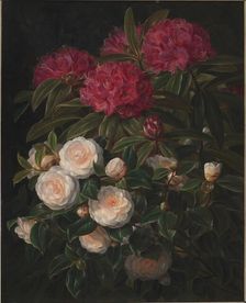 Camellias and rhododendrons, 1852. Creator: Johan Laurentz Jensen
