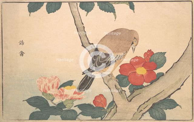 Camellias with a Bird, 1789. Creator: Kitao Masayoshi.