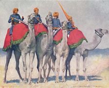 Camelry from Alwar 1903. Artist: Mortimer L Menpes