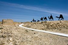 Camels approaching Avdat, Israel. Creator: Samuel Magal