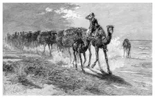 Camels carrying wool, 1886.Artist: Frank P Mahony