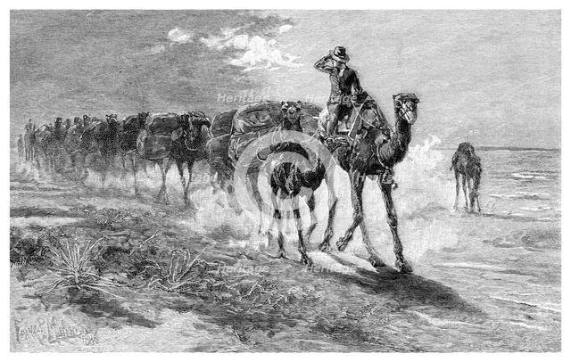 Camels carrying wool, 1886.Artist: Frank P Mahony